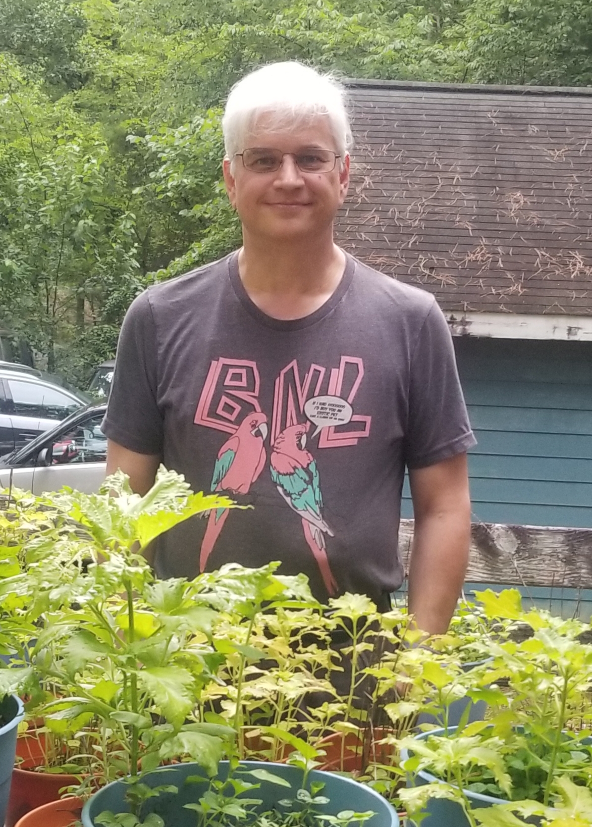 Independence Day (Chemotherapy #27)